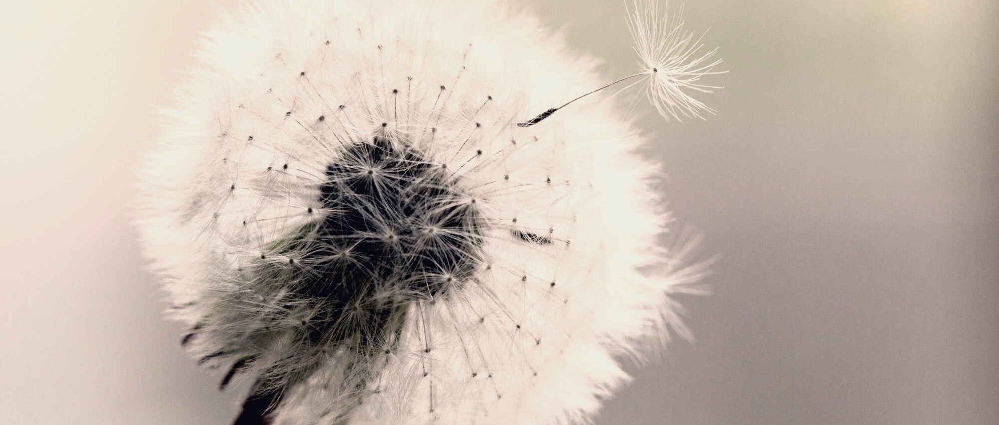 Echtscheiding en Mediation | Mediator Utrecht - Den Haag - Amersfoort | Viae Novae Scheiding